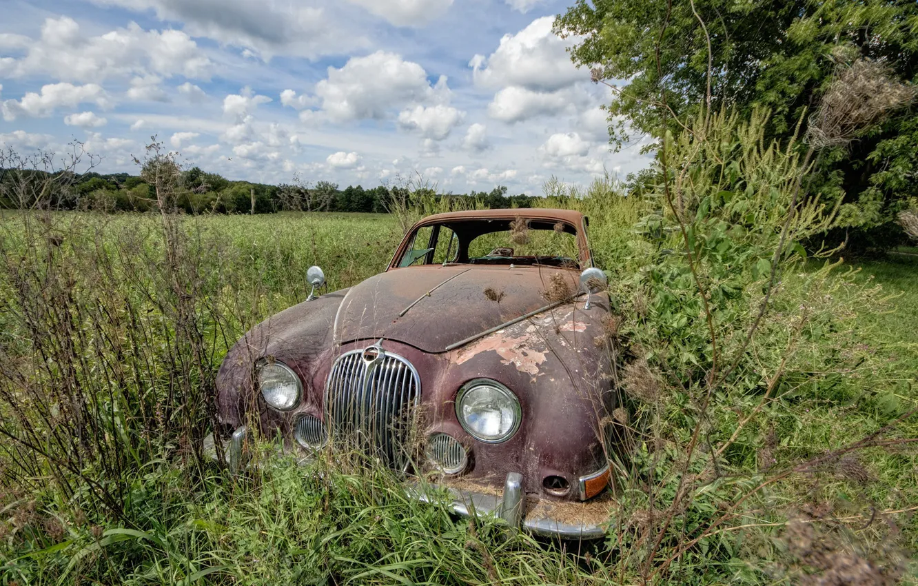 Photo wallpaper field, machine, scrap