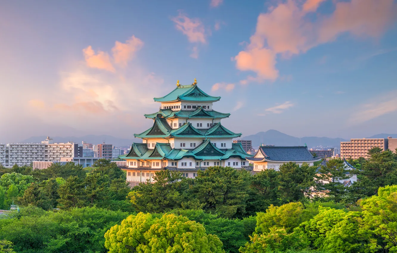 Photo wallpaper the sky, clouds, trees, landscape, mountains, city, the city, castle
