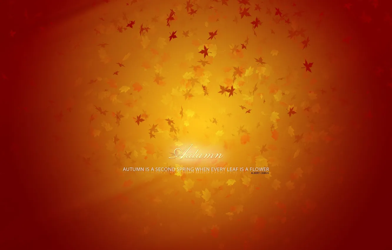 Photo wallpaper autumn, leaves