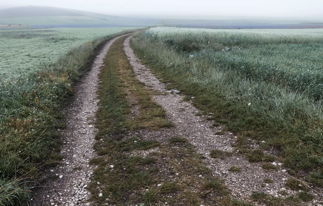 Photo wallpaper road, field, fog