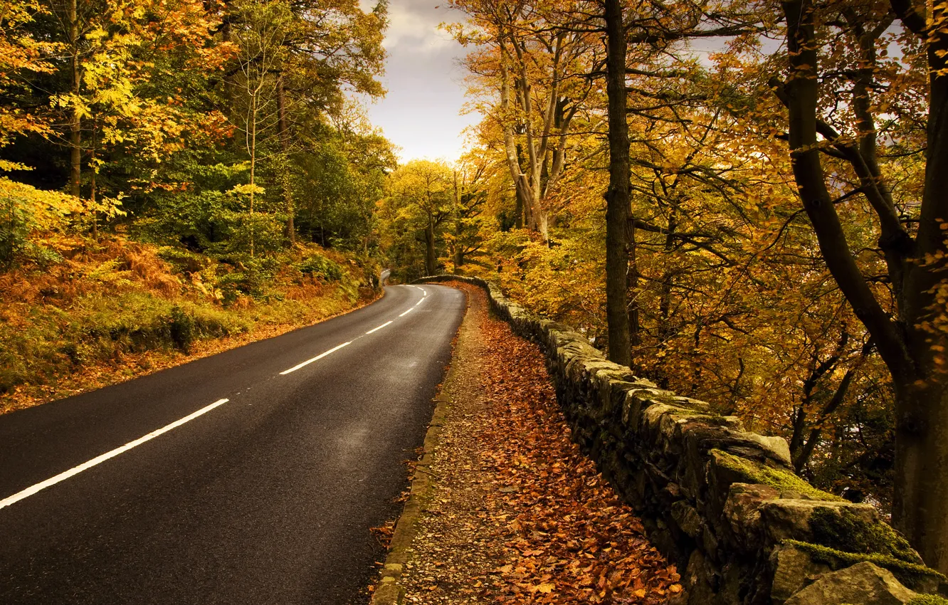 Photo wallpaper road, autumn, nature, markup