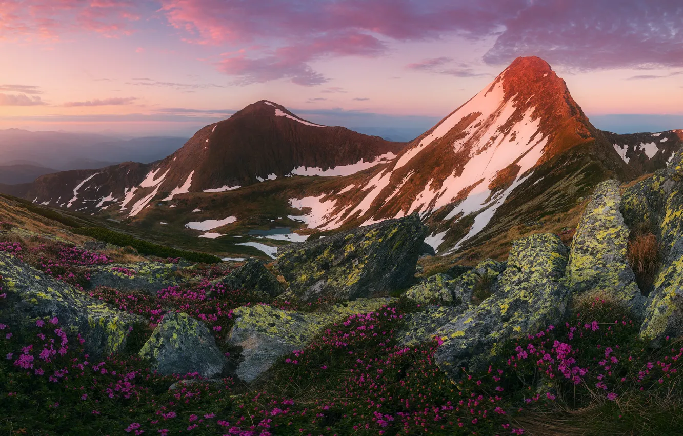 Photo wallpaper landscape, mountains, nature, dawn, vegetation, spring, morning, flowering