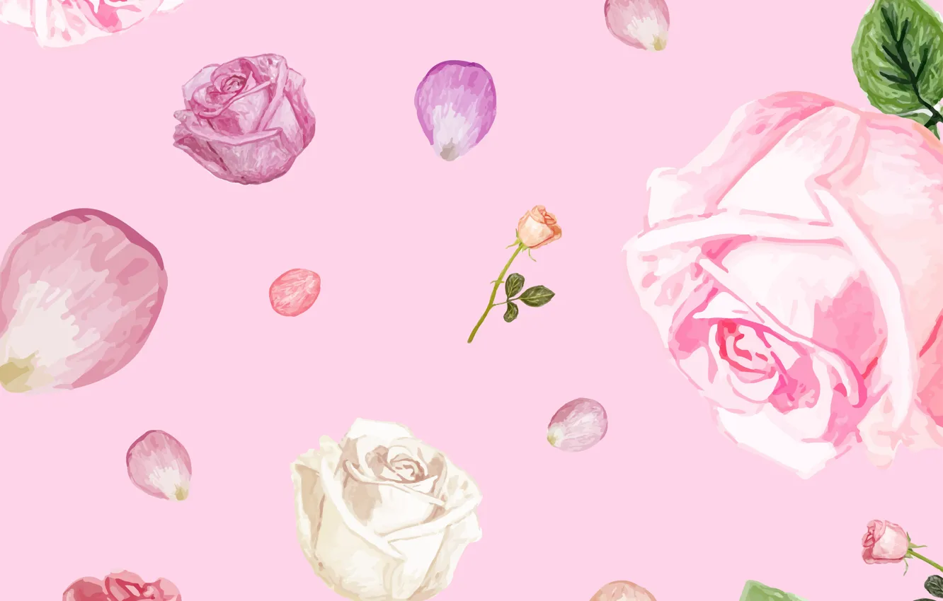 Photo wallpaper background, pink, roses, texture, petals, buds