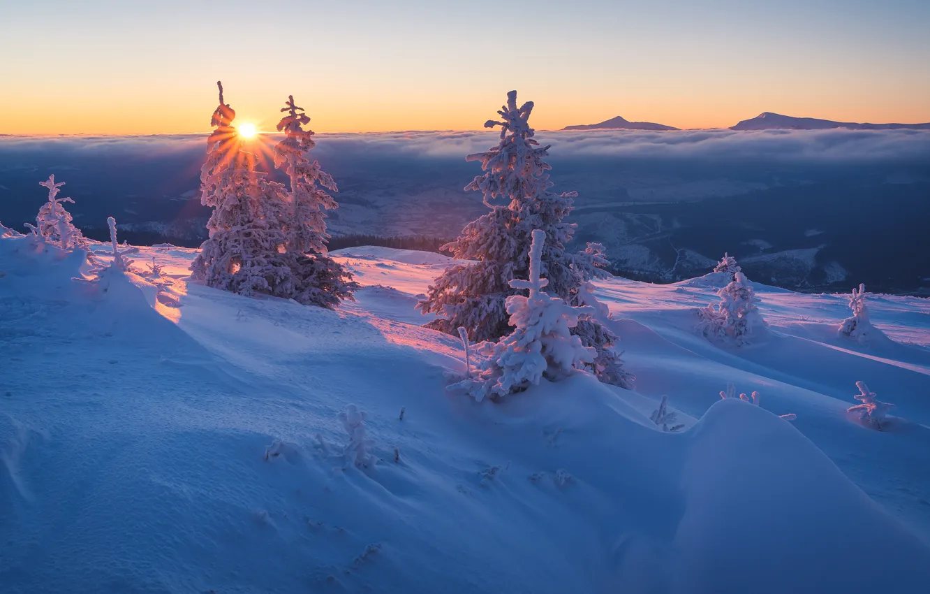 Photo wallpaper winter, forest, the sky, the sun, clouds, rays, snow, landscape