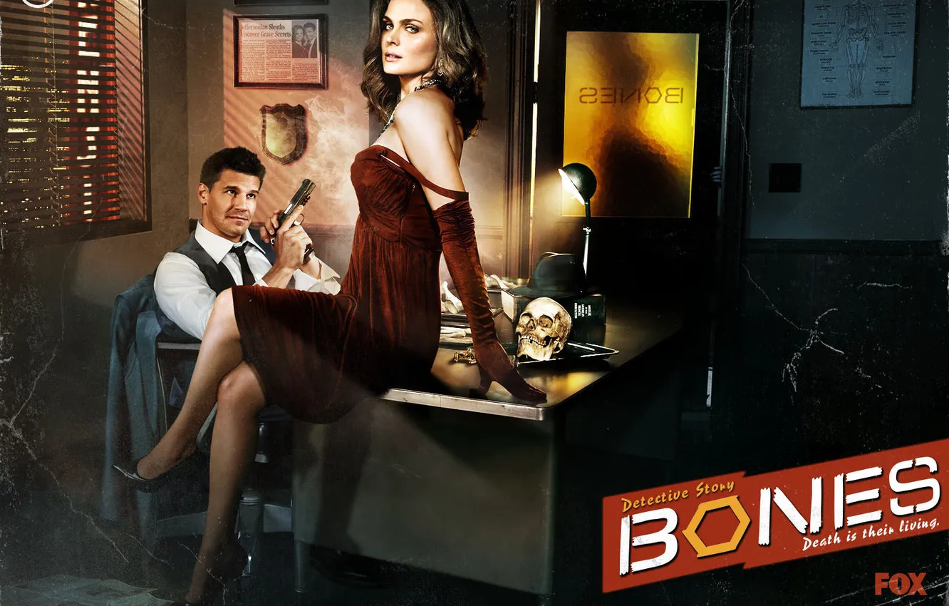 Photo wallpaper bones, the series, bones, Emily Deschanel