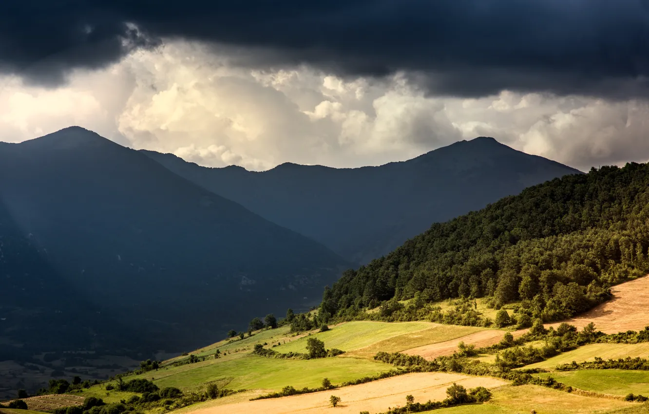 Photo wallpaper forest, mountains, clouds, valley