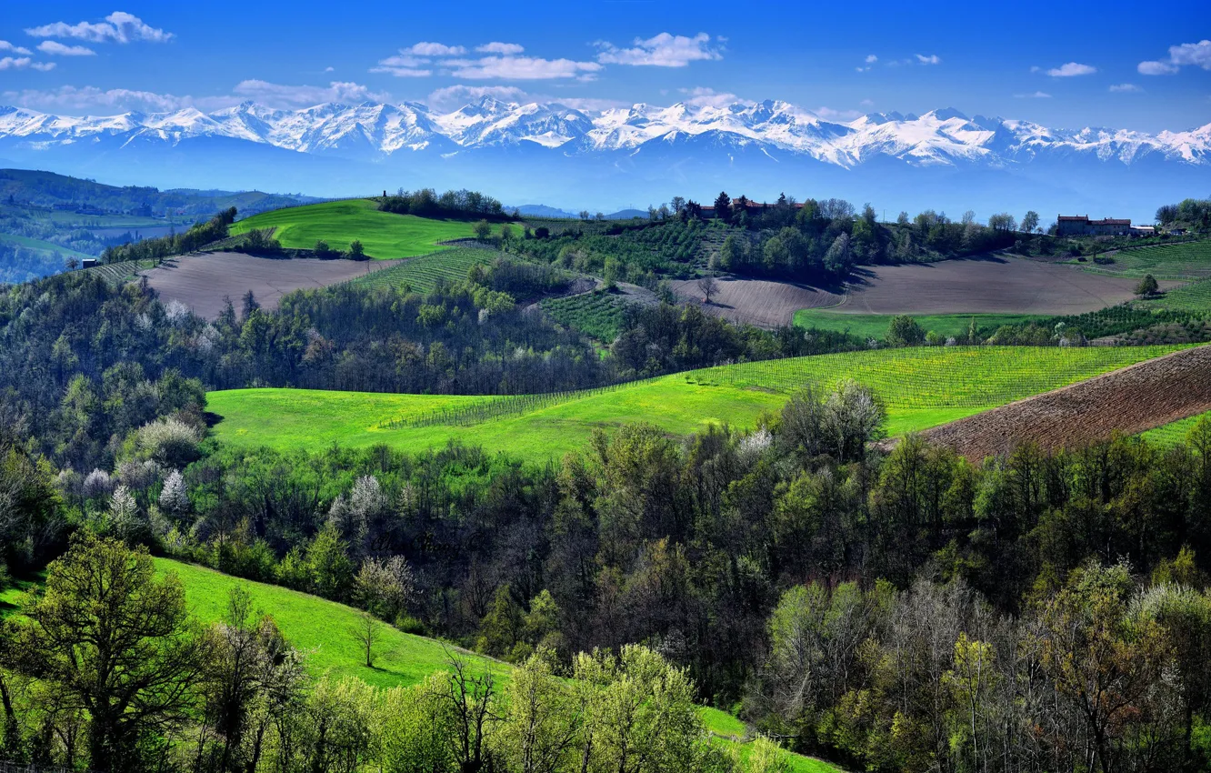 Photo wallpaper mountains, hills, the vineyards