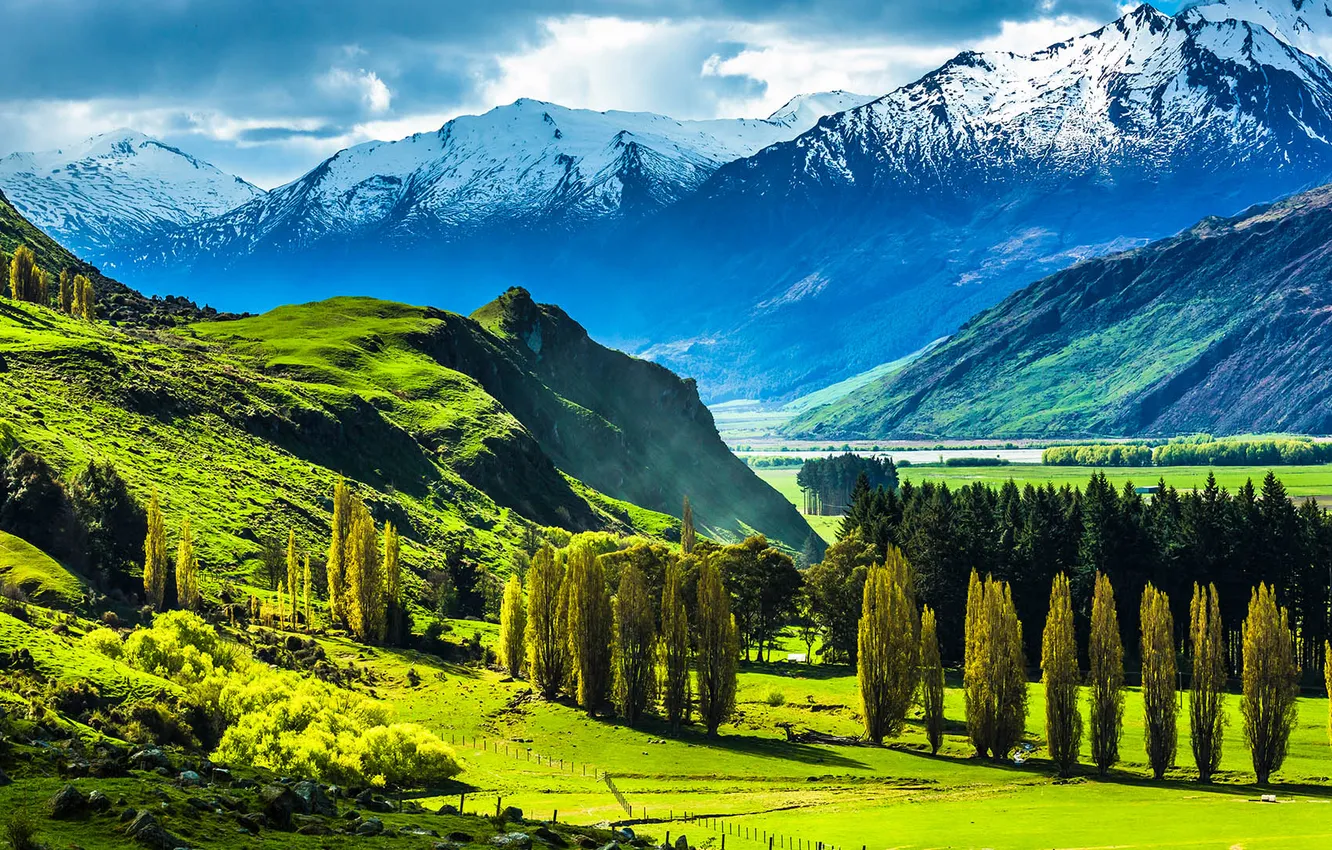 Photo wallpaper trees, landscape, nature, mountains