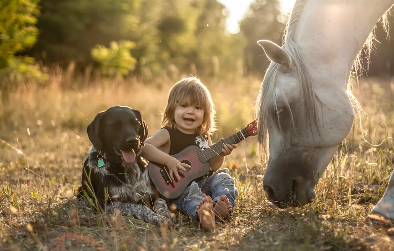 Photo wallpaper horse, horse, guitar, dog, boy, friendship, friends