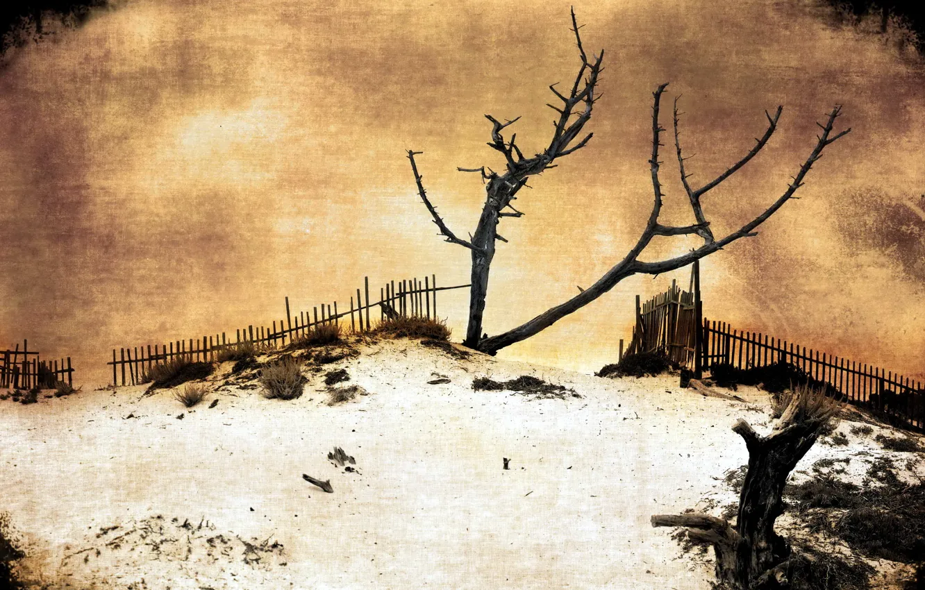 Photo wallpaper landscape, style, background