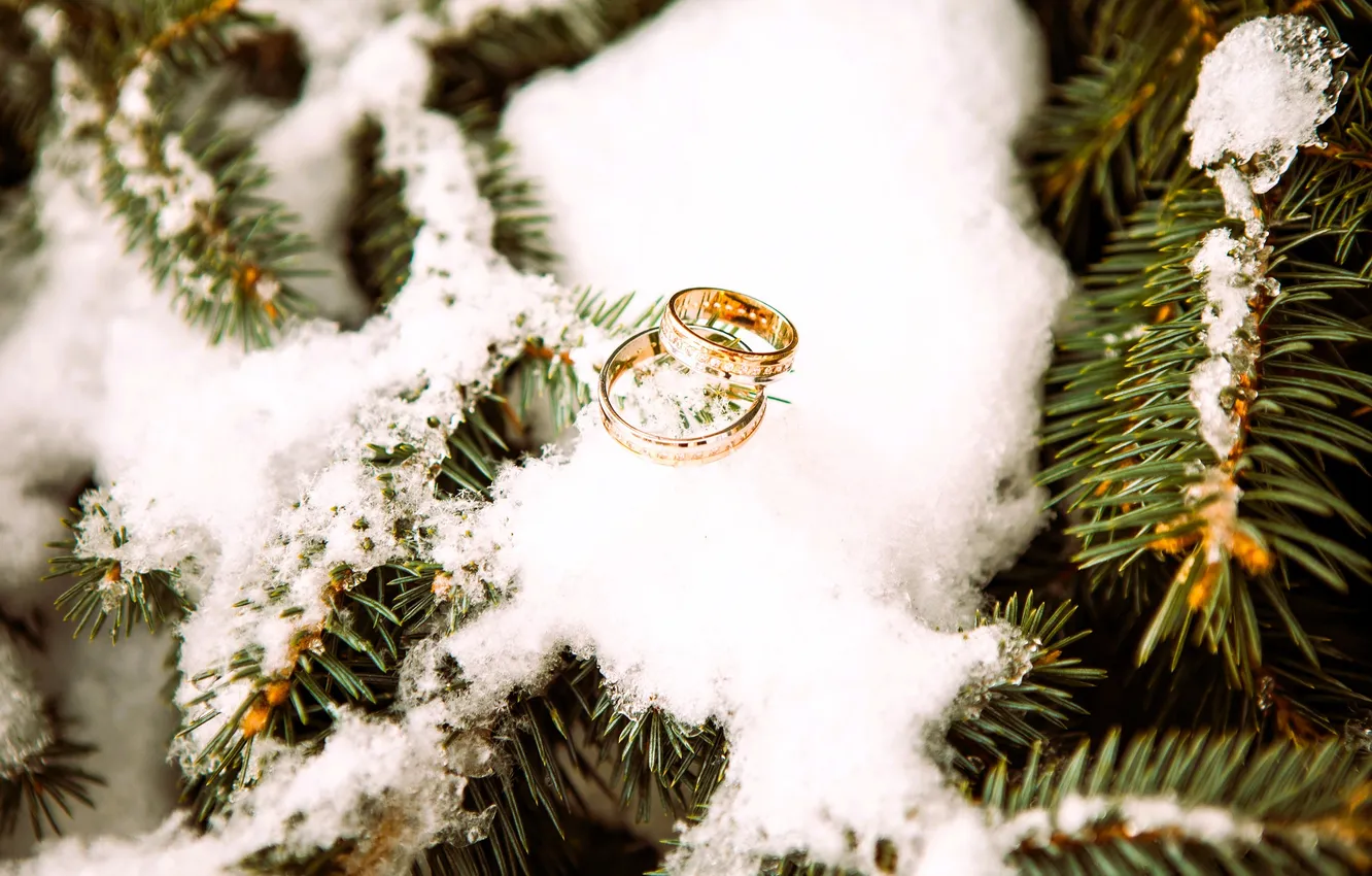 Photo wallpaper winter, snow, trees, branches, tree, ring, pair, wedding