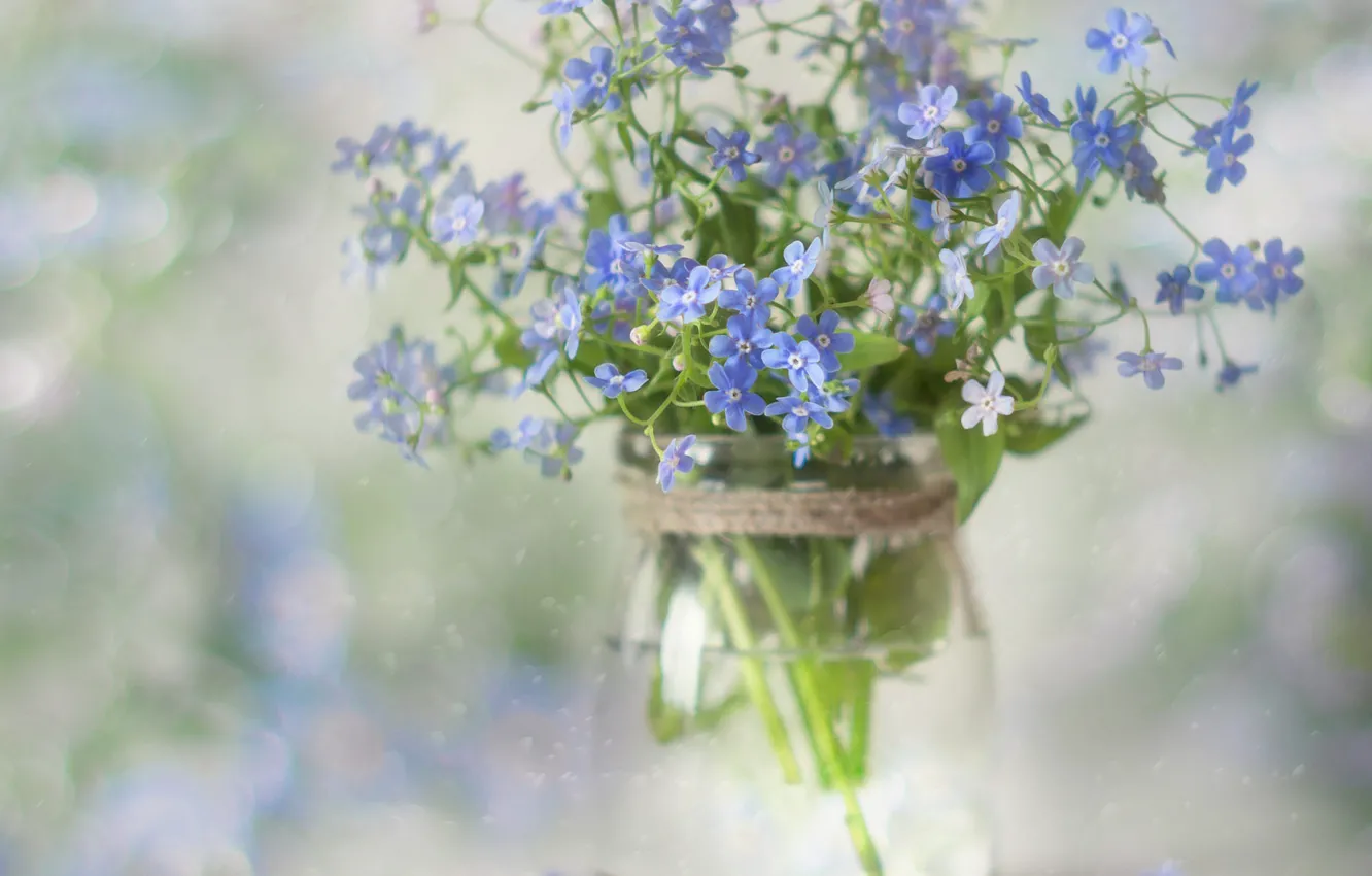 Photo wallpaper flowers, bouquet, blue, Bank, forget-me-nots