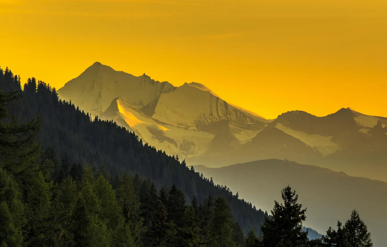 Photo wallpaper forest, the sky, landscape, mountains