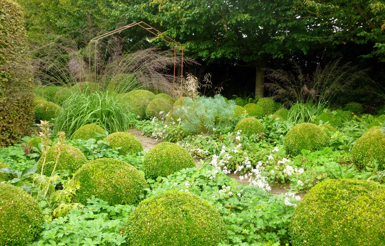 Photo wallpaper greens, grass, trees, flowers, garden, path, the bushes