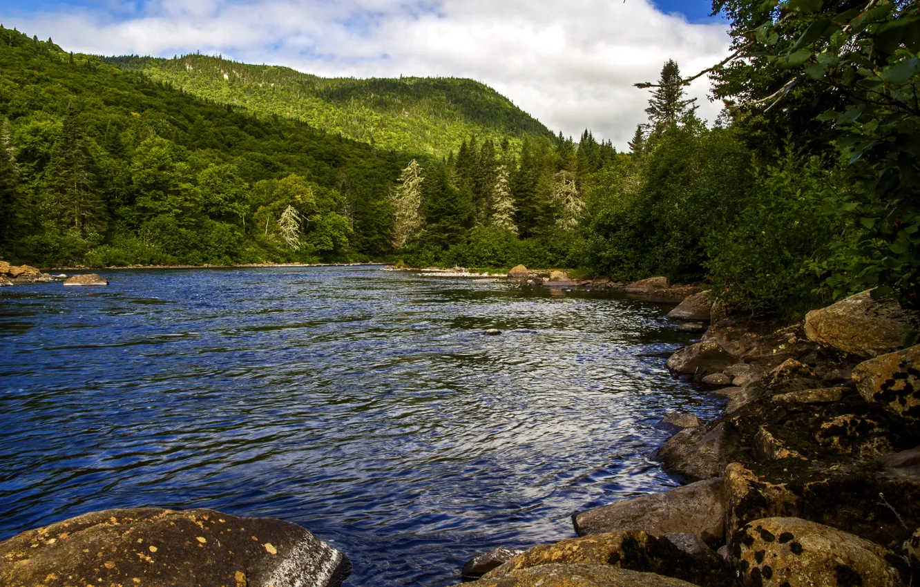 Photo wallpaper forest, trees, mountains, river, stones, Canada, Quebec, Jacques Cartier national park