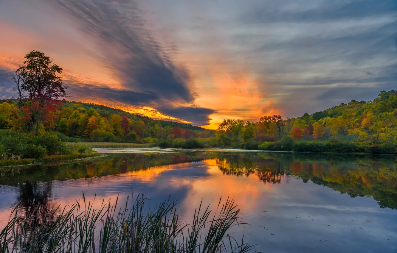 Photo wallpaper autumn, forest, lake, sunrise, dawn, morning, PA, Pennsylvania
