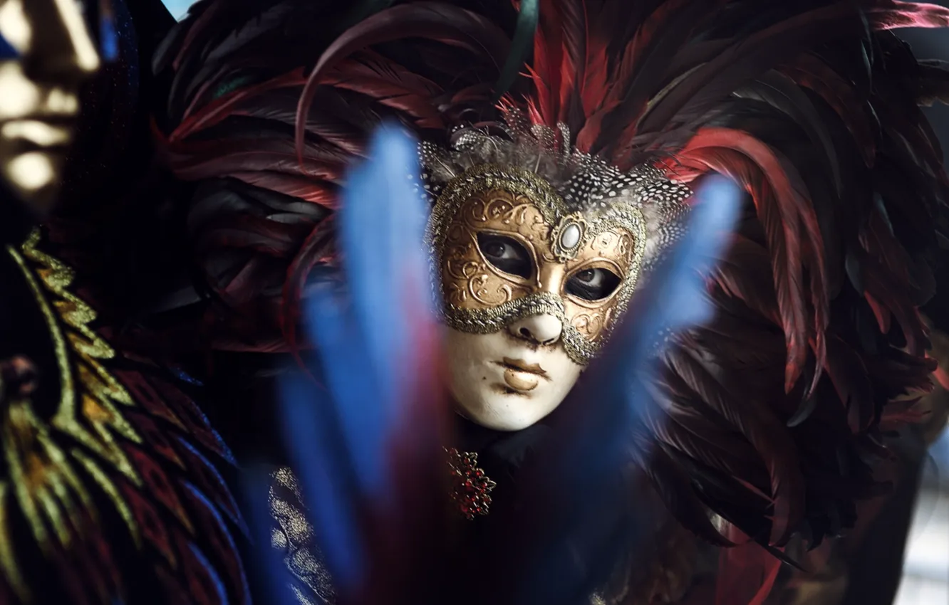 Photo wallpaper look, feathers, mask, carnival