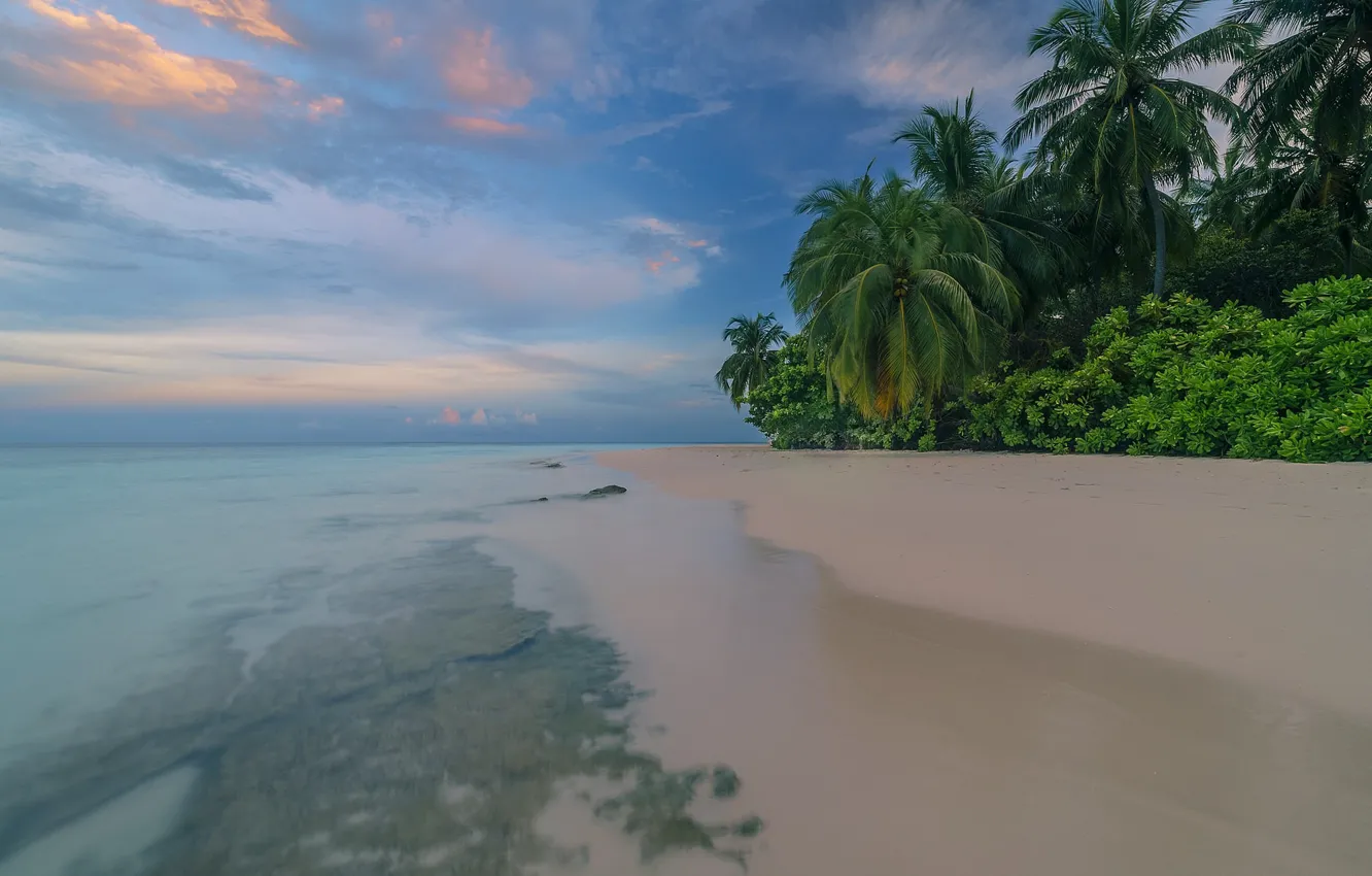 Photo wallpaper sea, beach, summer, landscape, tropics, palm trees, blue water
