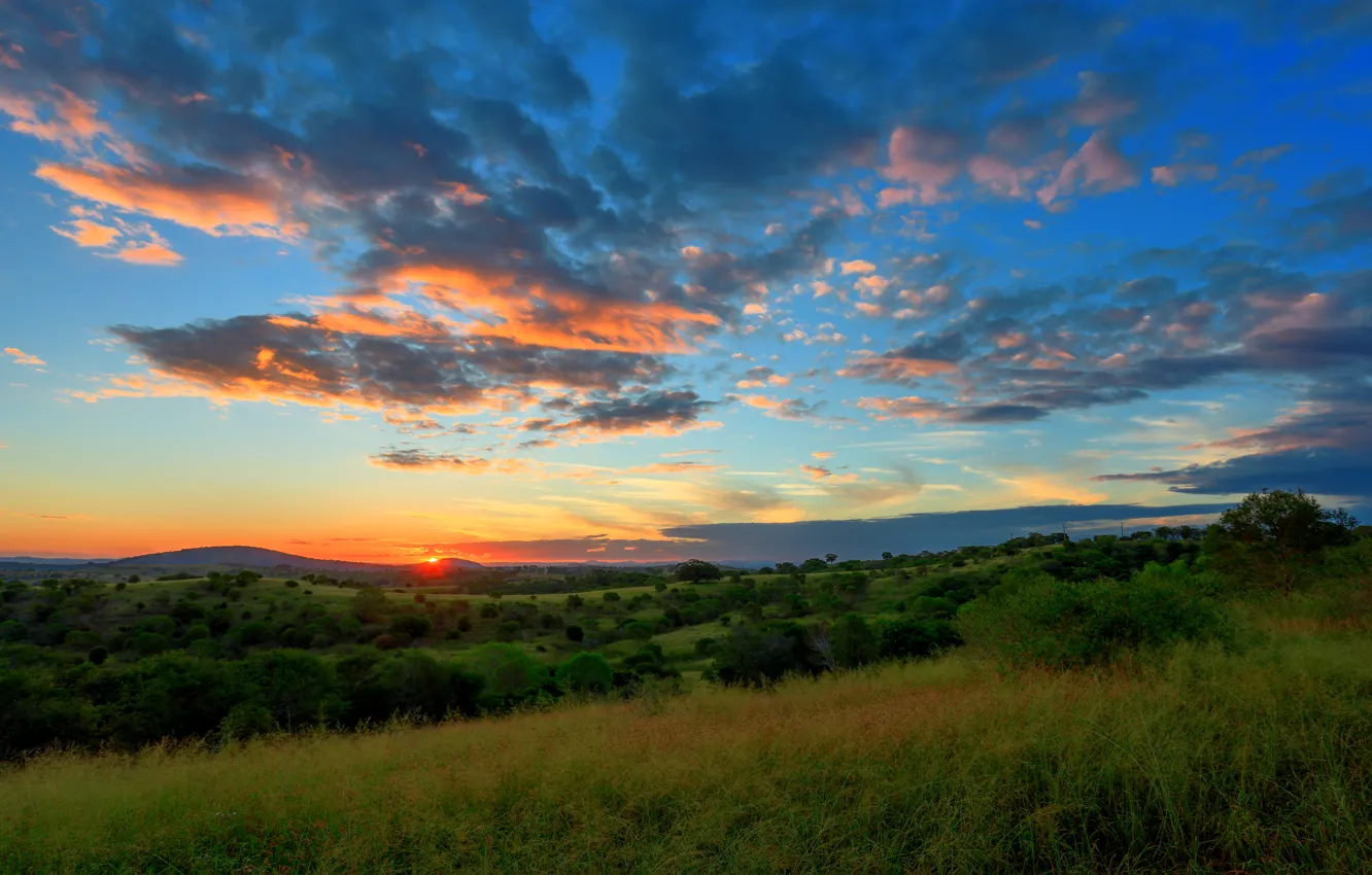 Photo wallpaper field, the sky, clouds, trees, sunset, hills
