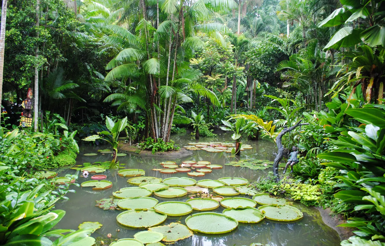 Photo wallpaper trees, pond, garden, Singapore, the bushes, water lilies, Botanic Gardens
