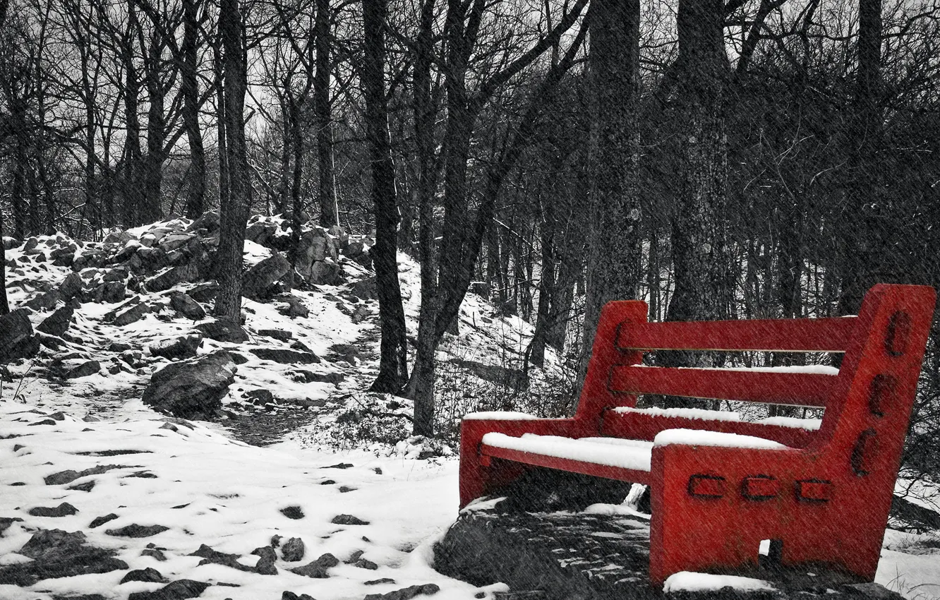 Photo wallpaper snow, Park, bench