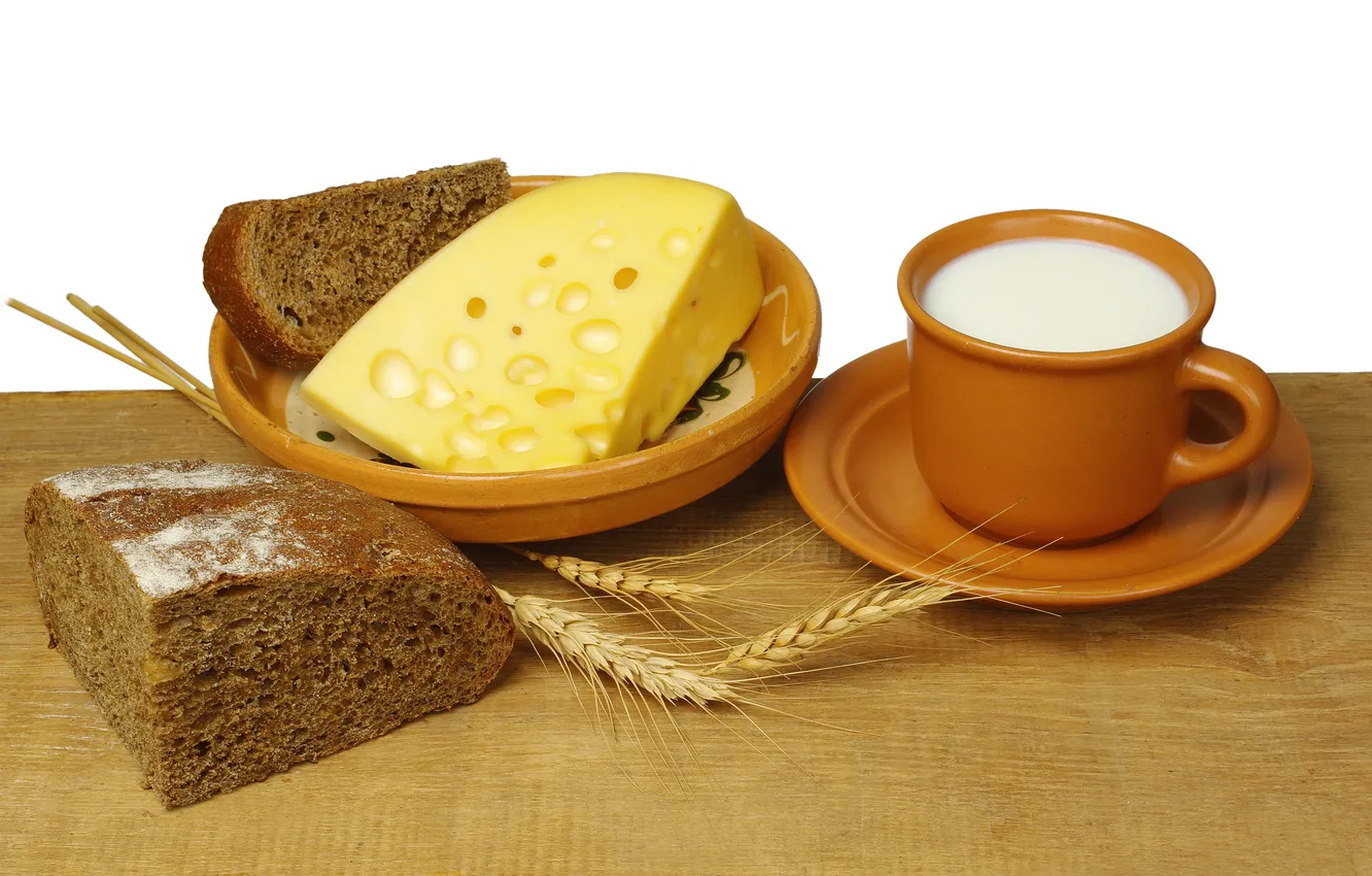 Photo wallpaper table, cheese, milk, plate, Cup, saucer, black bread, appetizing