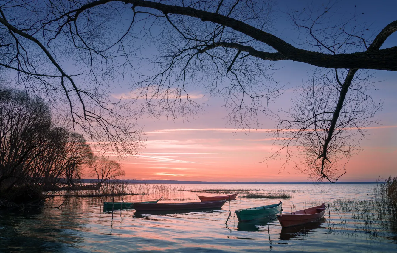 Photo wallpaper landscape, sunset, nature, boat, Gregory Beltsy, Plescheevo lake