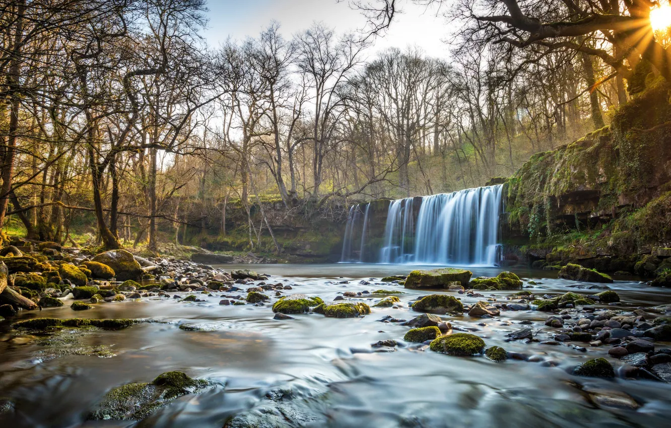 Photo wallpaper forest, waterfall, river, Wales, The Brecon Beacons