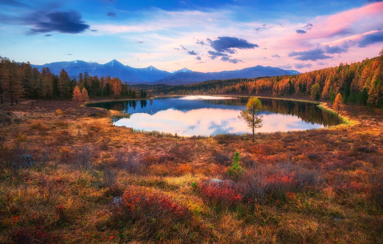 Photo wallpaper autumn, forest, the sky, lake, paint, Russia
