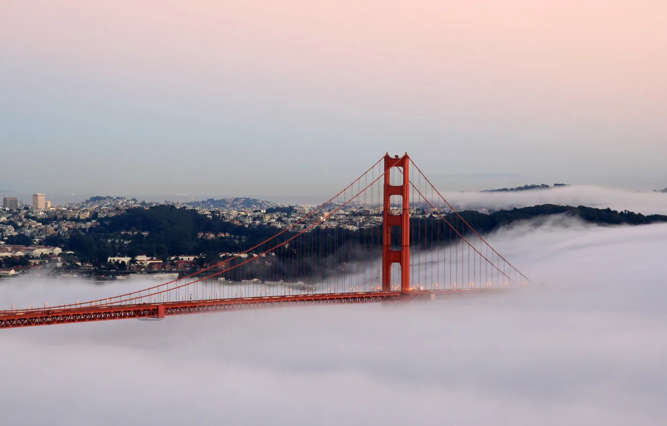 Photo wallpaper bridge, lights, fog, Golden Gate Bridge, San Francisco