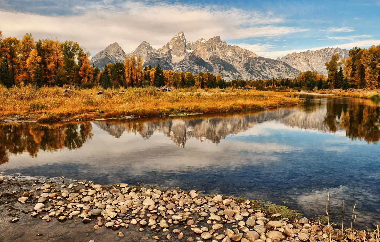 Photo wallpaper forest, mountains, nature, lake, reflection