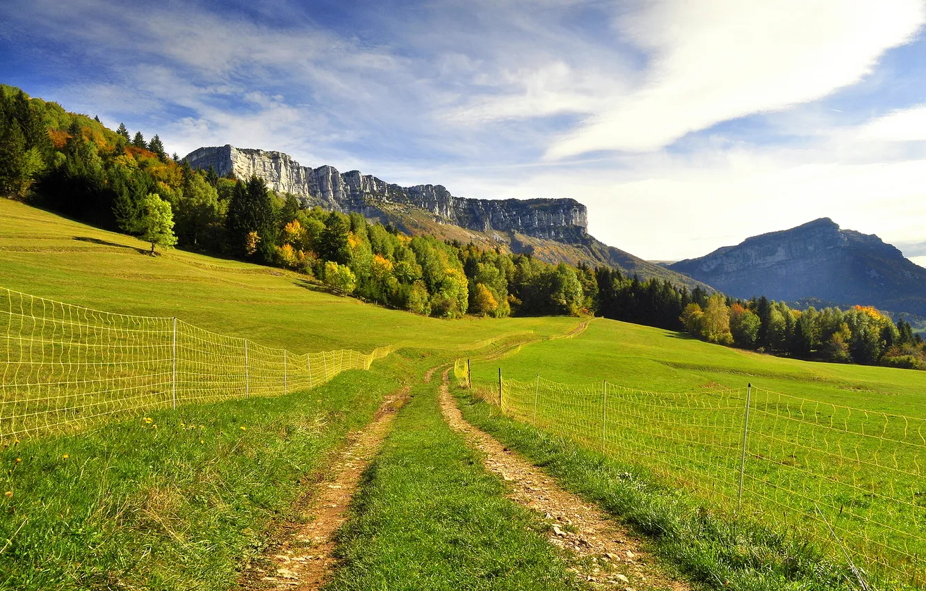 Photo wallpaper road, greens, trees, mountains, hills, the fence, slope