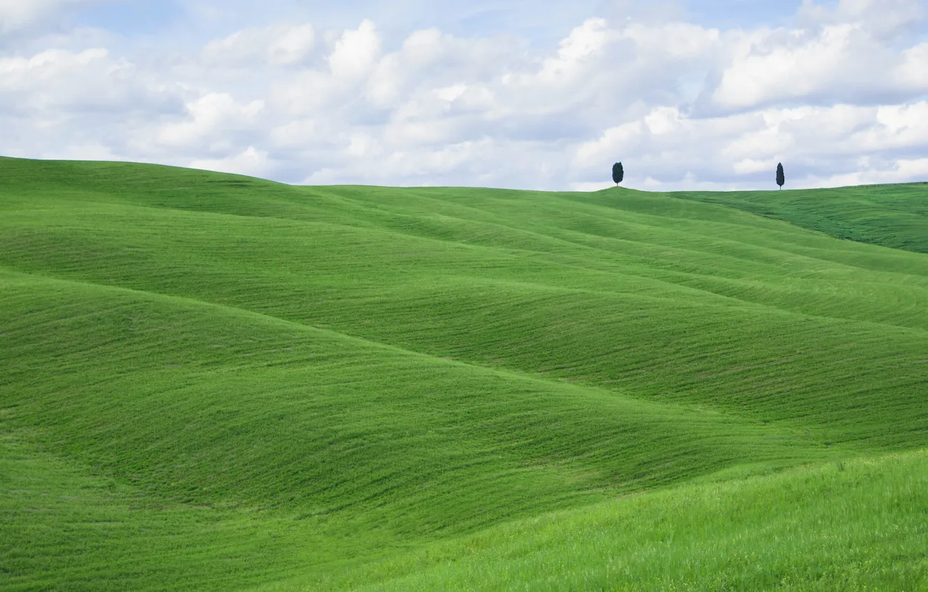 Photo wallpaper greens, the sky, grass, clouds, trees, lawn, hills