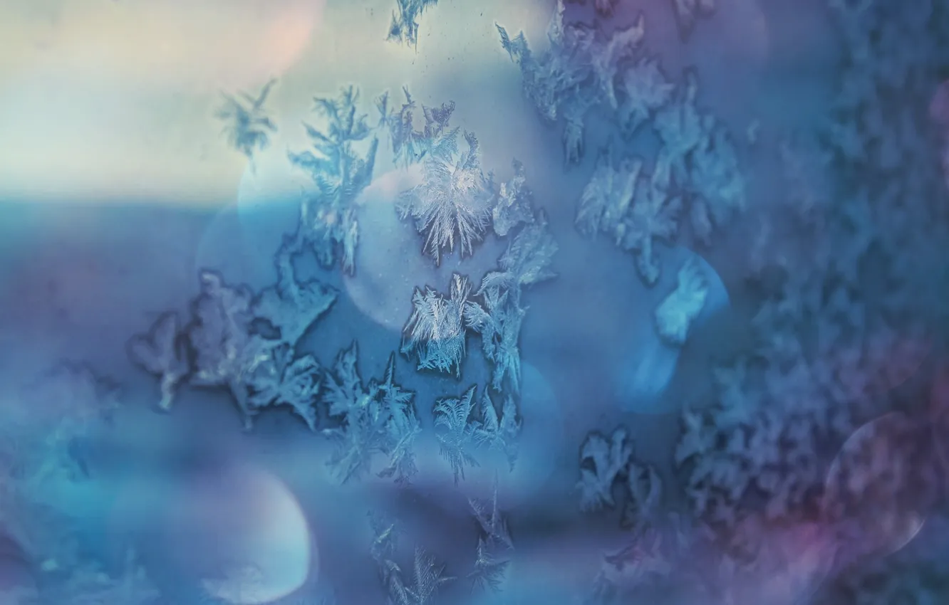 Photo wallpaper winter, dream, snowflakes, blue, glare, mood, blue, view