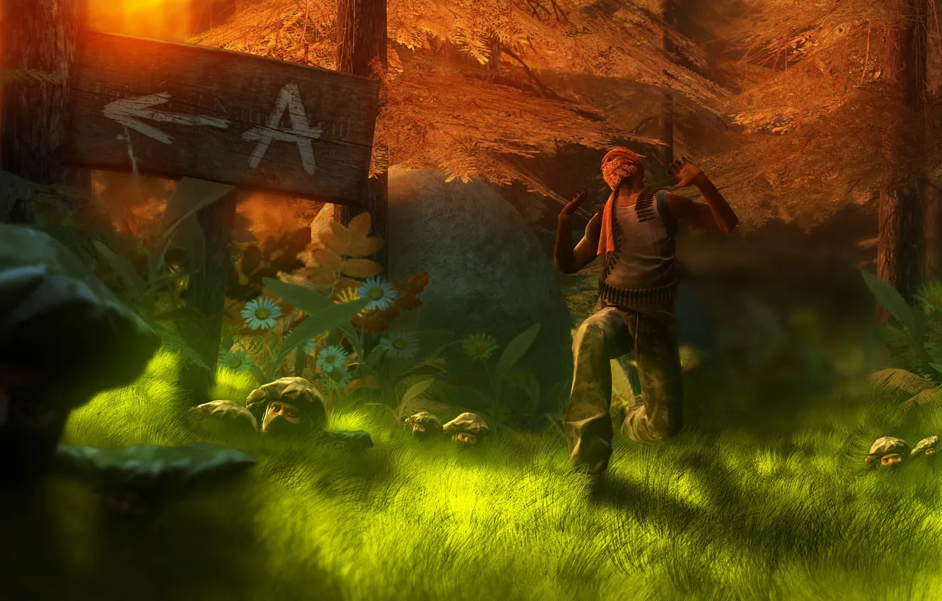 Photo wallpaper counter, strike