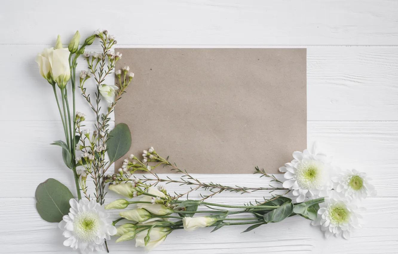 Photo wallpaper greens, paper, background, chrysanthemum, eustoma