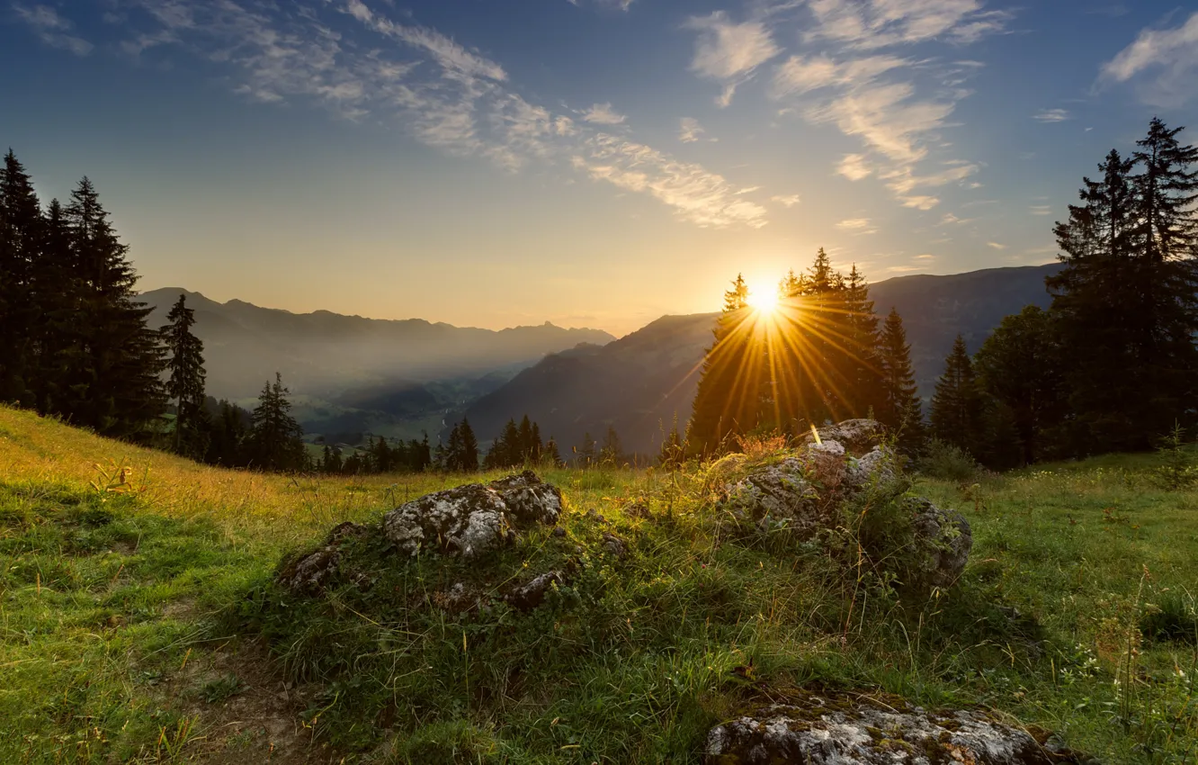 Photo wallpaper rays, trees, mountains, nature, dawn