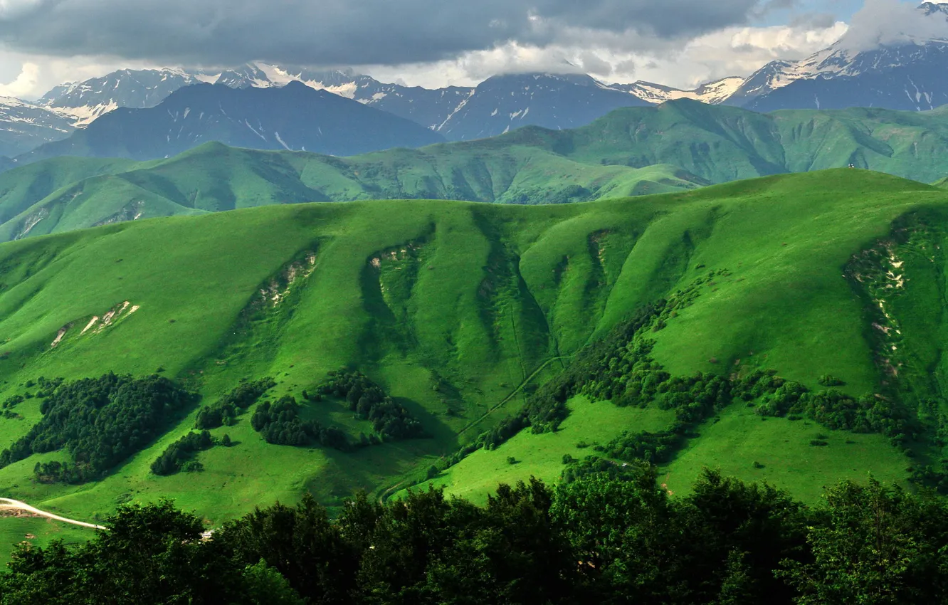 Photo wallpaper grass, mountains, South Ossetia