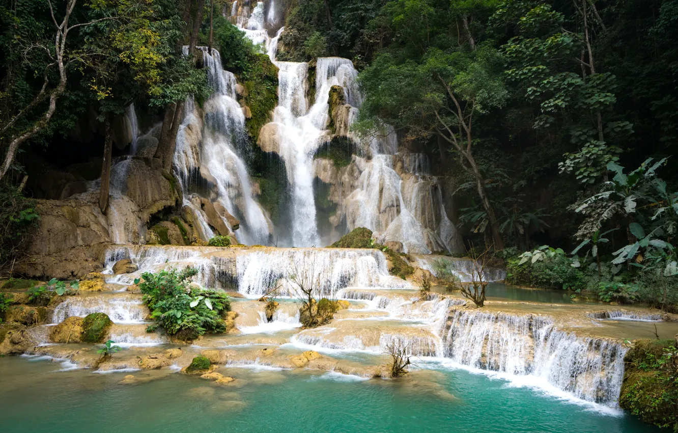 Photo wallpaper forest, landscape, river, rocks, waterfall, summer, forest, tropical