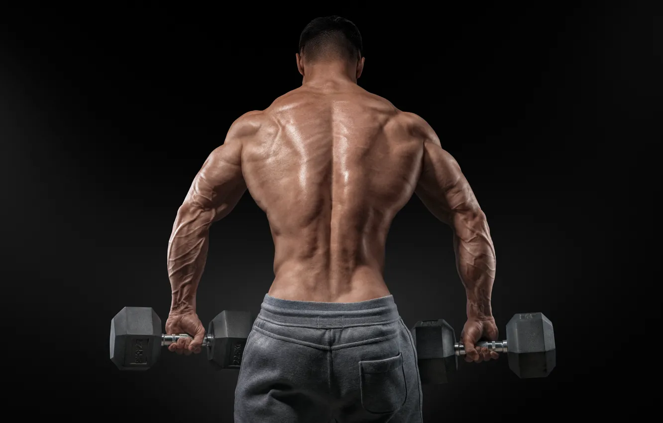 Photo wallpaper men, muscular, bare back