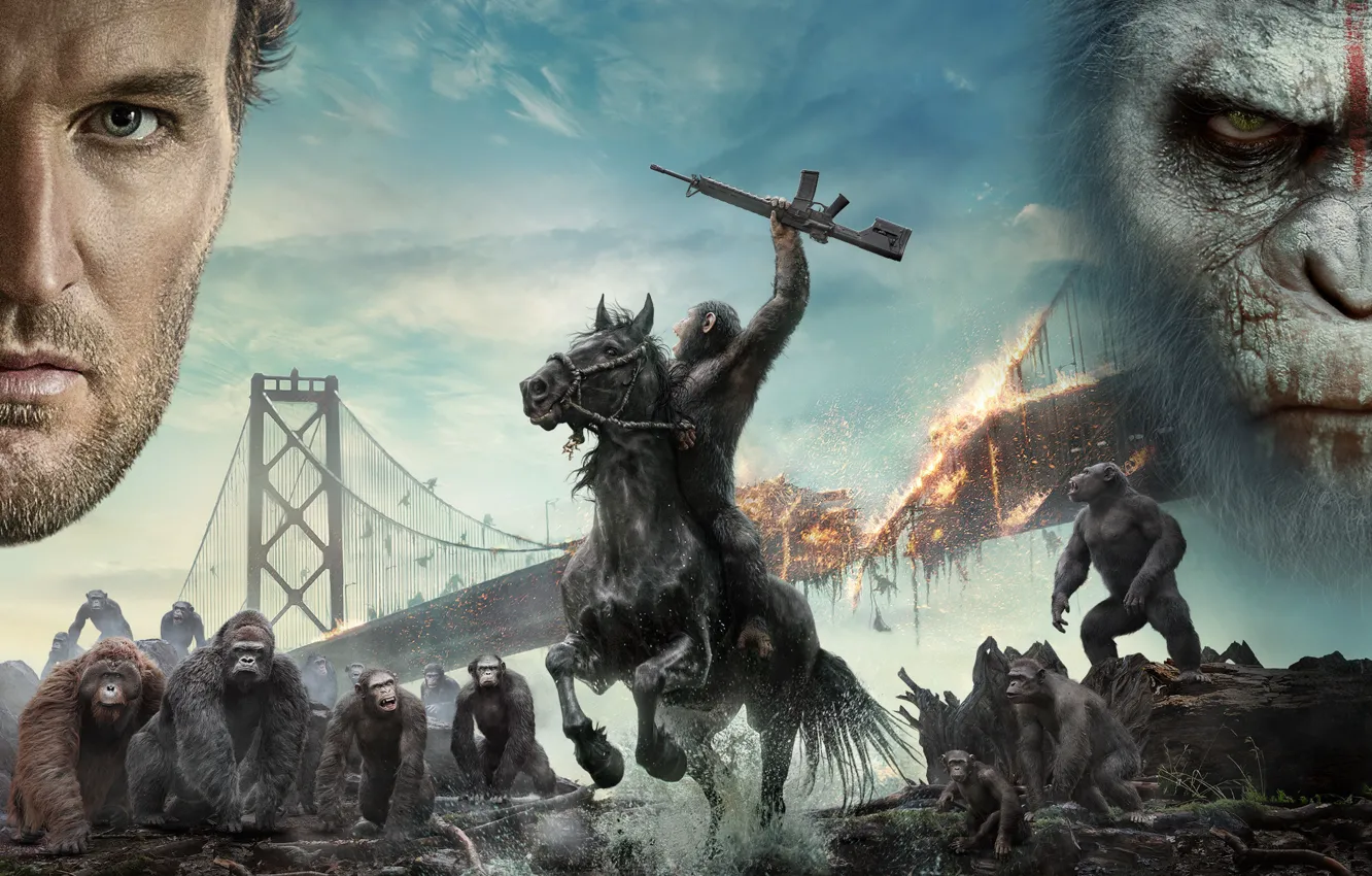 Photo wallpaper bridge, lights, weapons, fiction, horse, monkey, devastation, the leader