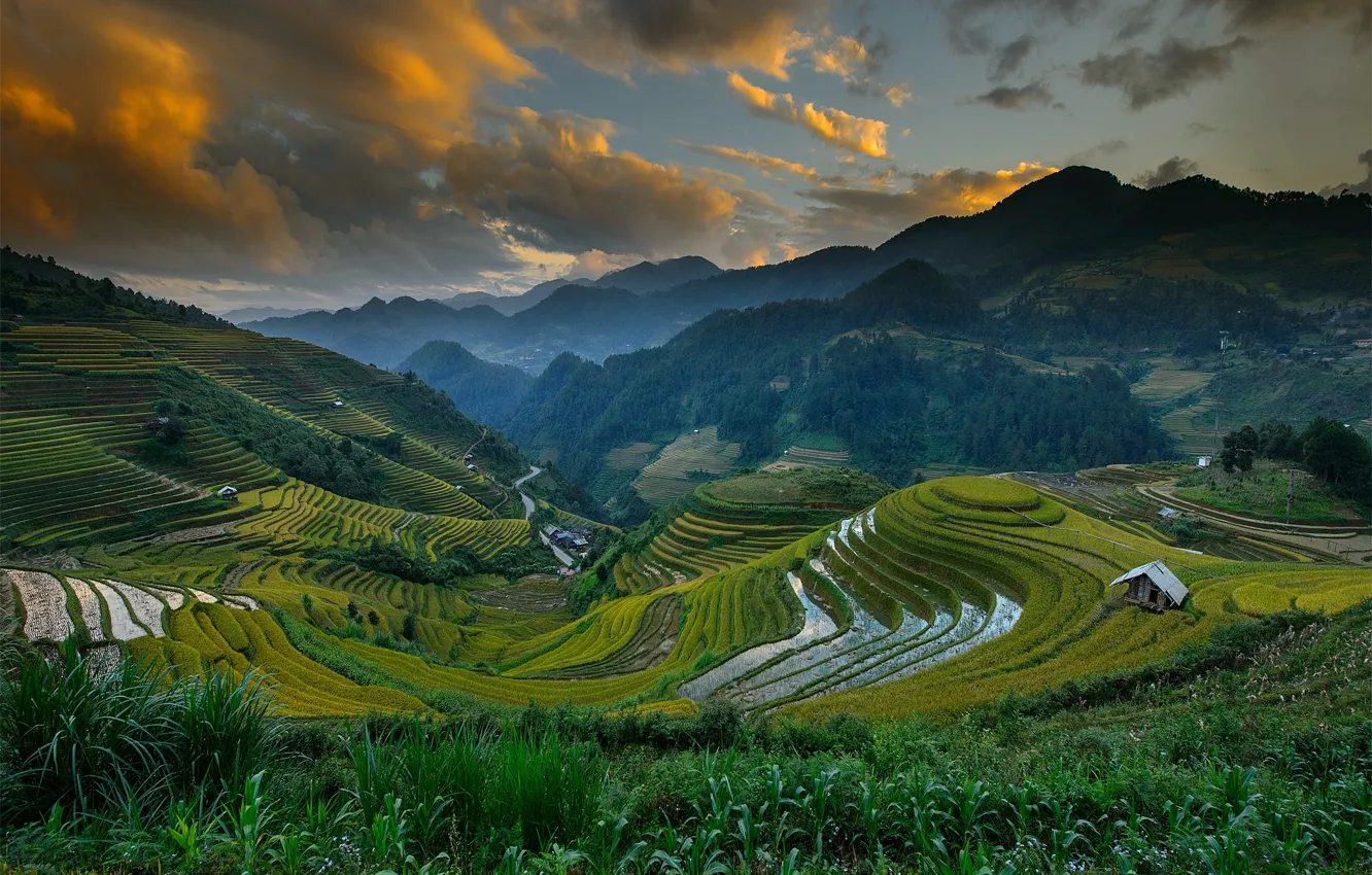 Photo wallpaper field, the sky, clouds, mountains, hills, Vietnam, Mu Cang Chai District