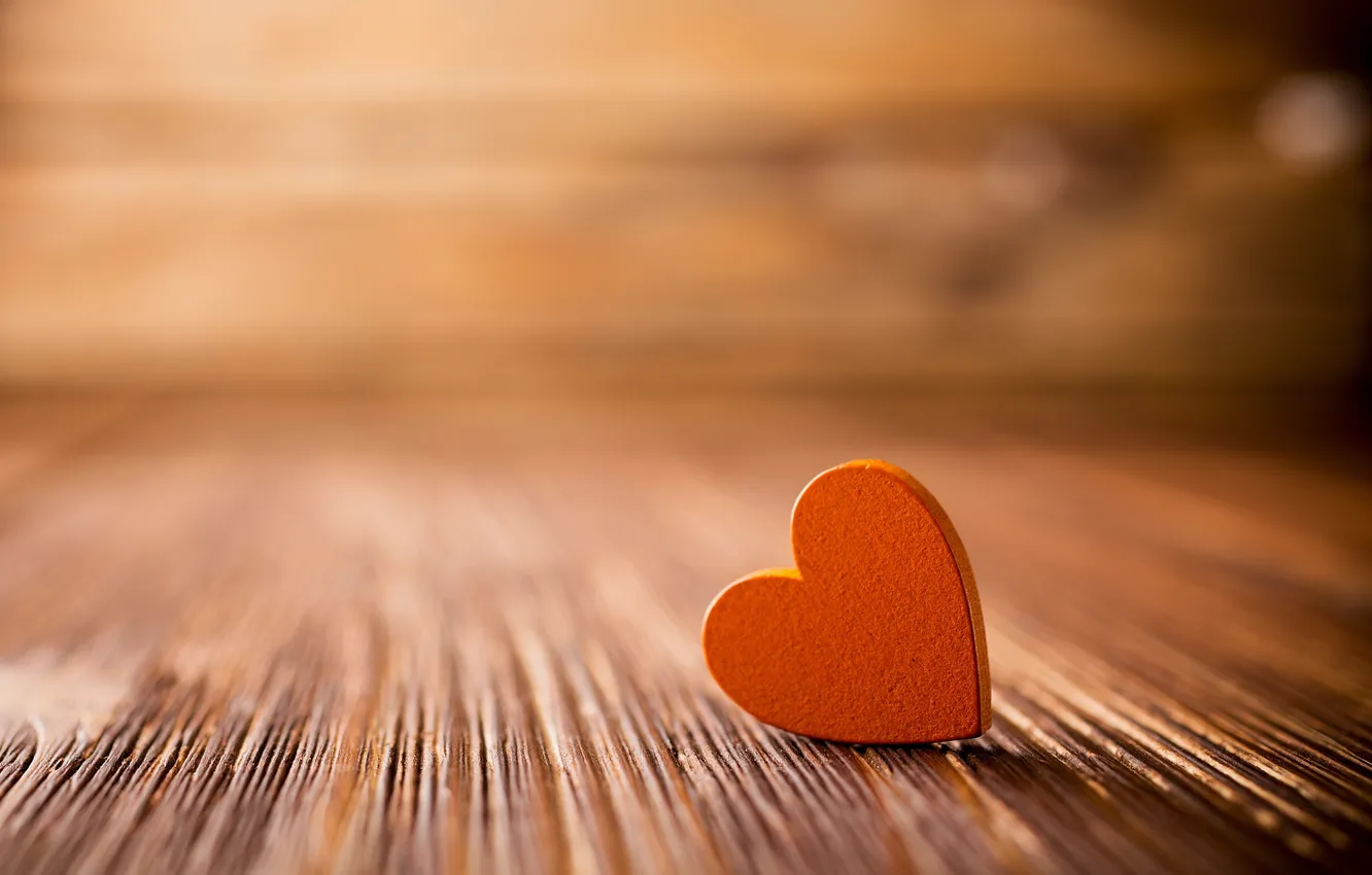 Photo wallpaper macro, trees, orange, table, heart, hearts, brown
