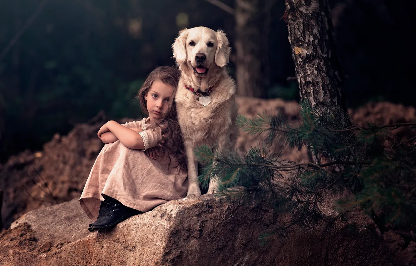 Photo wallpaper branches, tree, stone, dog, girl, friends