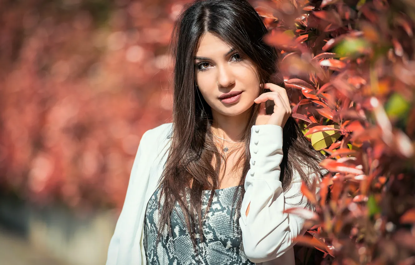 Photo wallpaper look, girl, hair, portrait, brunette, bokeh, Daniela