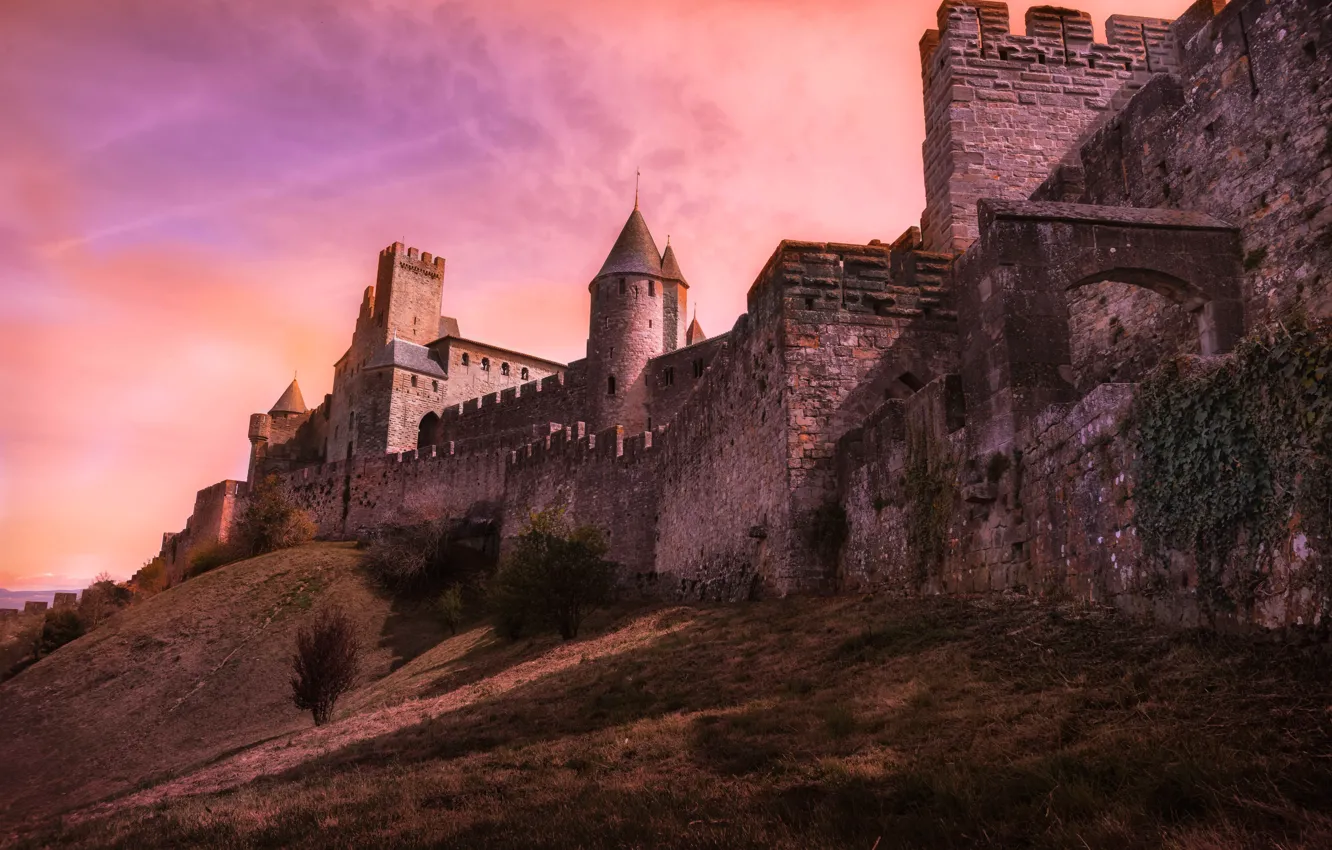Photo wallpaper wall, hills, France, tower, fortress, Carcassonne