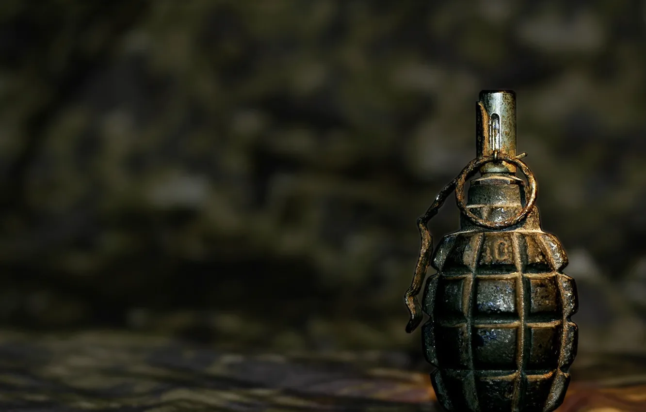 Photo wallpaper pineapple, check, garnet