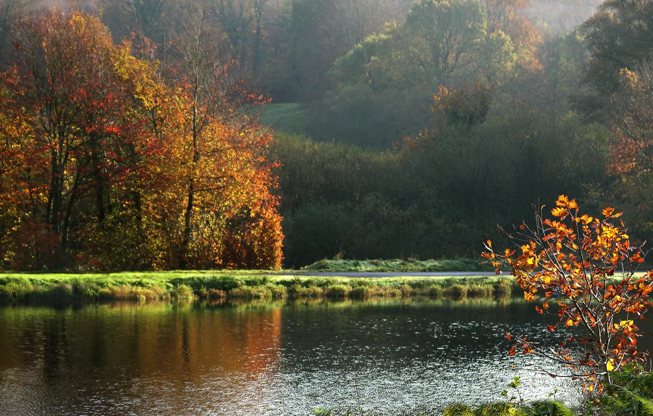 Photo wallpaper autumn, landscape, France, nature, France, autumn, Normandy, landscape