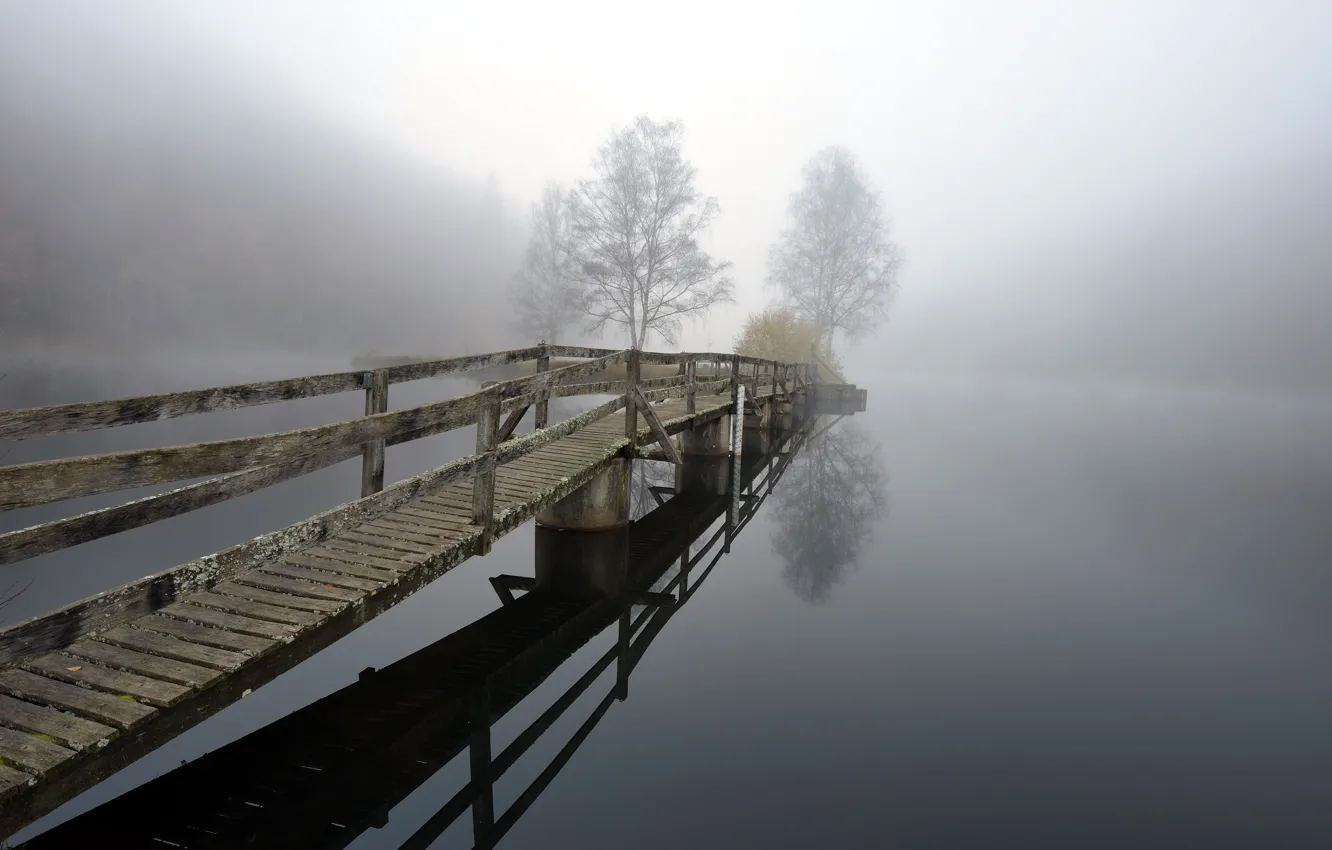 Photo wallpaper bridge, fog, lake, the darkness