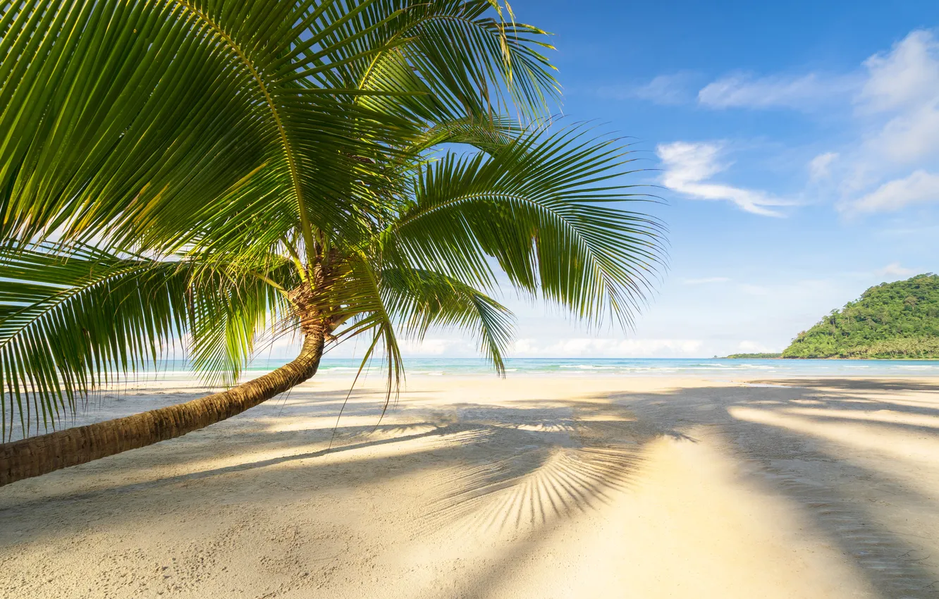 Photo wallpaper sand, sea, wave, beach, summer, the sky, palm trees, shore